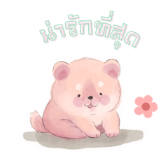 Baredog beby in Pastel