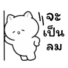 May be a White Cat