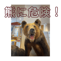 Suzu ran_20260329221504