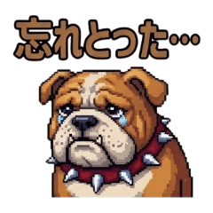 jundlecan_20260402103604