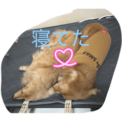 kotomi_20260402104423