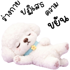 ดอลลี่ หมาน้อยน่ารัก