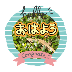 Yusei_20260402104448