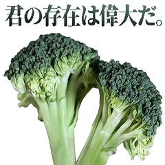 Affirmative broccoli