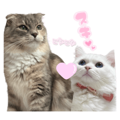 Takeda_20260402113159