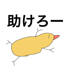 Honoka_20260330084148