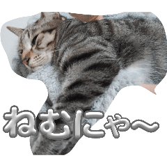 keipon_20260330122427