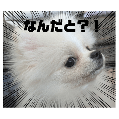 kumao_20260330142555