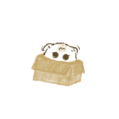 KOTCHAKORNn_20260402130405