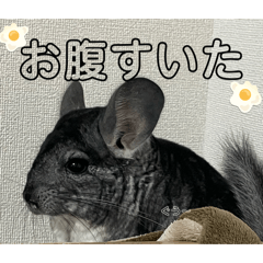 Yutico_20260330145212