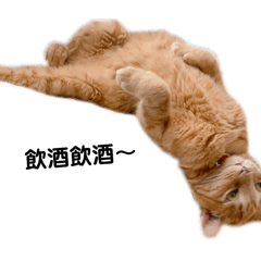 CHATOnoKAINUSHI_20260402202111