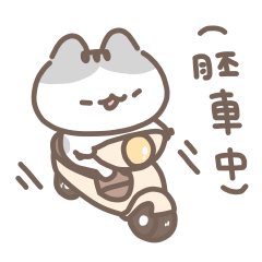 有點凶狠ㄉ軟爛貓咪