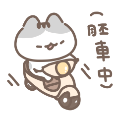 有點凶狠ㄉ軟爛貓咪