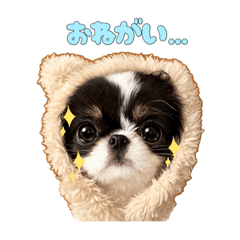 Yume Han_20260402131550