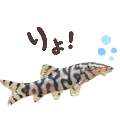 nishi_20260402151302