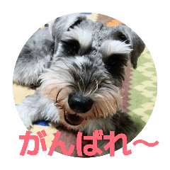 mayu_20260402151650