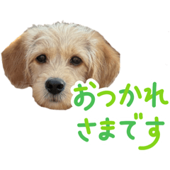 seijo_20260402152140