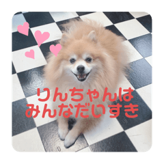 SUZU_20260402152613