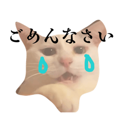c_20260402152825