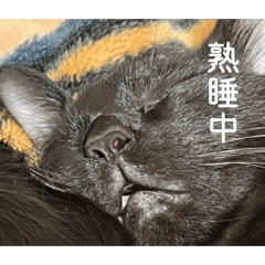 875a9_20260402172202