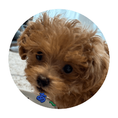 haruto_20260402183114