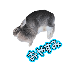 kyauta_20260402183236