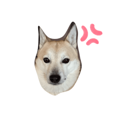 Yuna Yuna_20260402184117