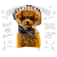 nyannyan_20260402192856