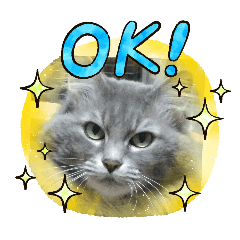 nishi_20260402192828