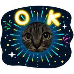 Saki.y_20260402214426