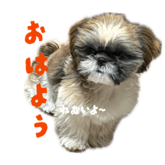 Seina_20260402213638