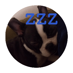 EDAMAME_20260402203746