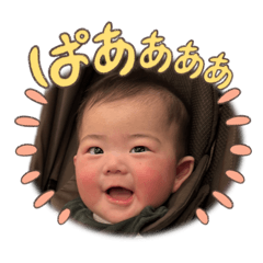 Maple_20260402213520