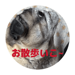 kei yoyama_20260402223454