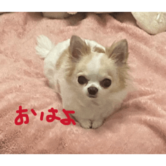 emapen_20260402195254