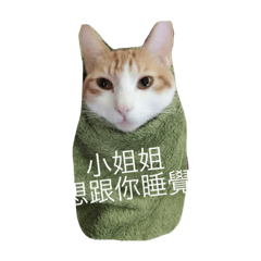 qqwerrt