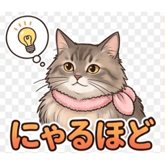 mofumofuviviko_20260402132729