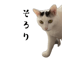 L L L_20260402131347