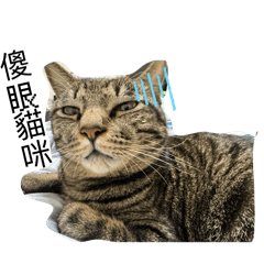 童美縫（嚕嚕）的日常