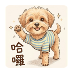 馬爾泰迪-萬五（日常對話篇）