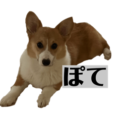 tokokici_20260402164713