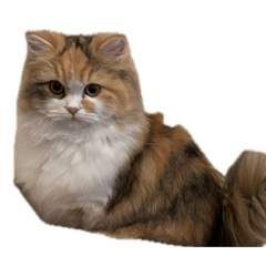 Miki103_20260402165611