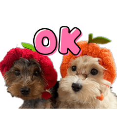 urupino_20260402165654