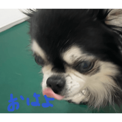 emapen_20260402165952