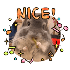 soranichi_20260402221327