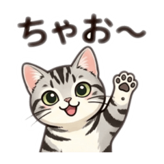 popola_20260402201106