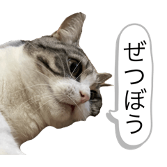 akstn0110_20260403013528