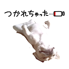 zunmama_20260403012942