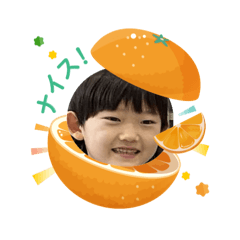 okapun_20260403013529