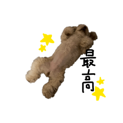 mocotara_20260403022424